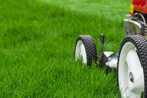 Rasenmäher im hohen Gras